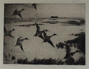 Image description is not available for DU1947.63